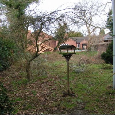 Garden before work begins 240109 (4)